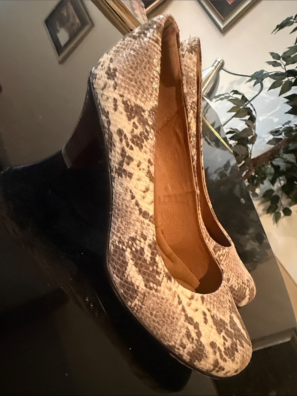 Women's Snakeskin-Print Round-Toe Pumps - Neutral Tones Sofft
